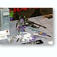 ban950367