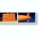 brncbs2004
