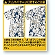 csp48231