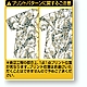 csp48246