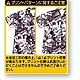csp48248