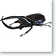 fts60091