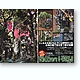 mdgmag1009