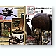 mdgmag1101