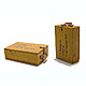 plmel010