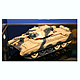 tam32541