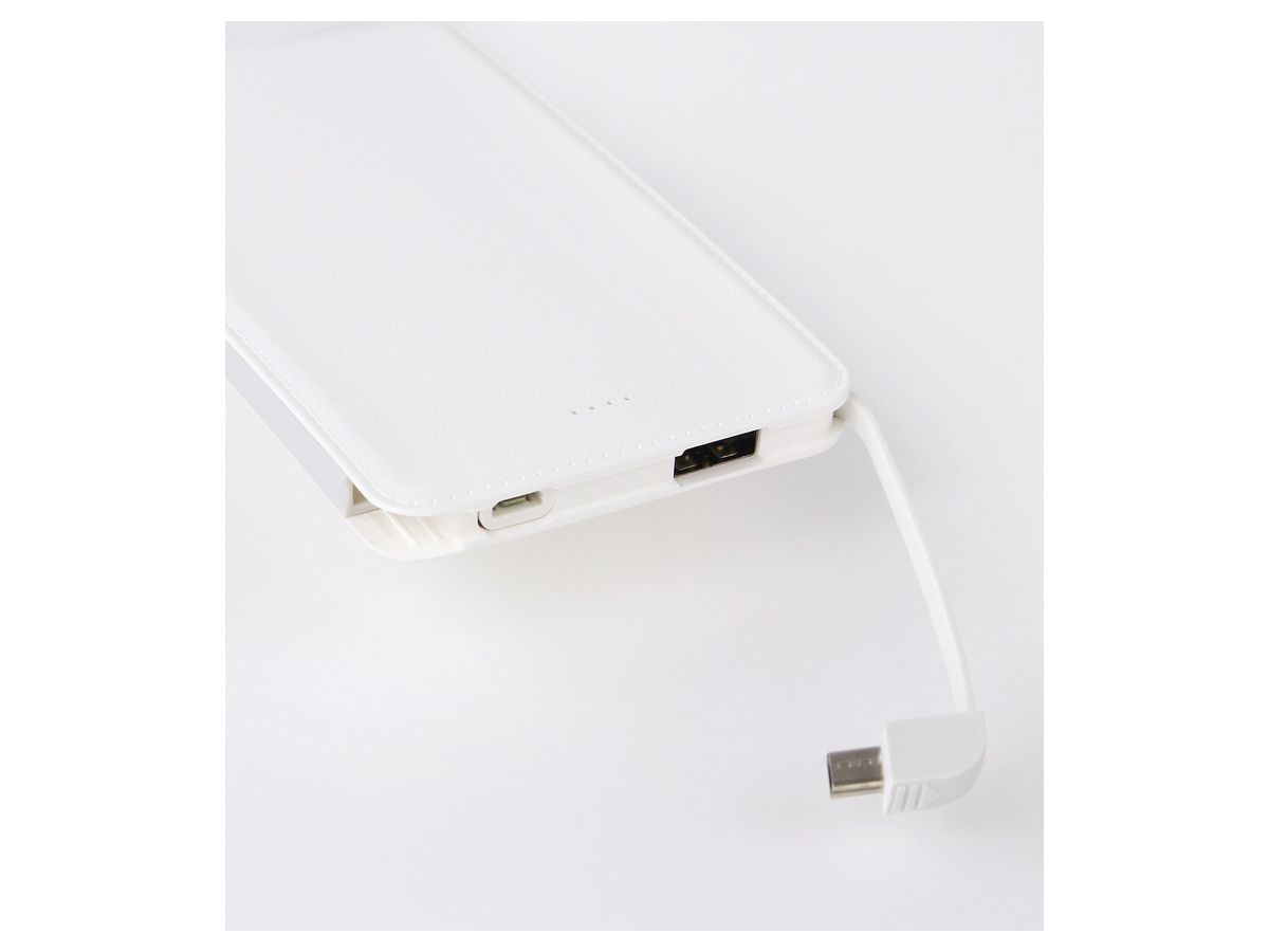 ヒロアカ The Movie ヒーローズ ライジング 描き下ろし 轟焦凍 モバイルバッテリー By アルマビアンカ ホビーリンク ジャパン