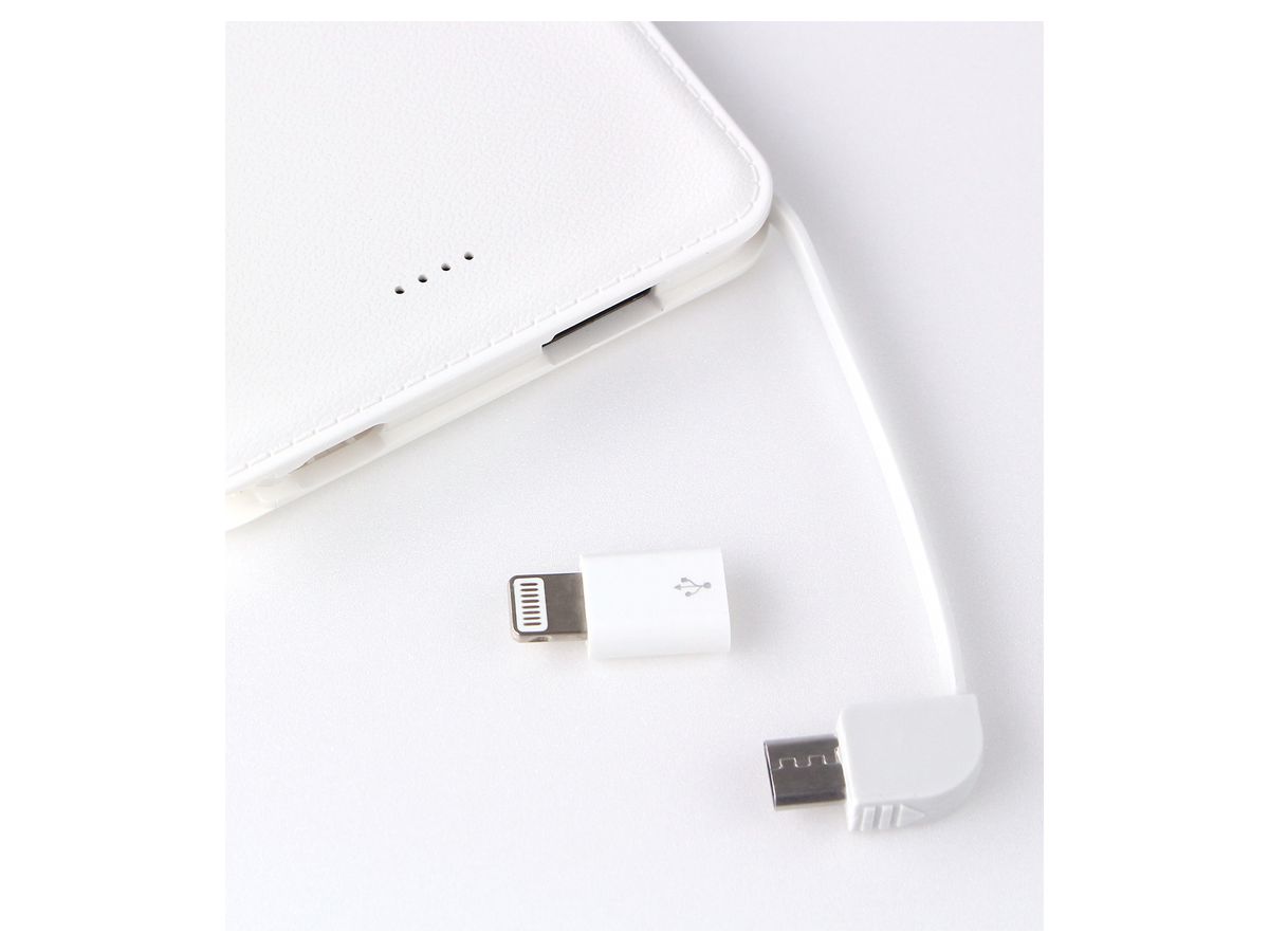 ヒロアカ The Movie ヒーローズ ライジング 描き下ろし 轟焦凍 モバイルバッテリー By アルマビアンカ ホビーリンク ジャパン ヒロアカ The Movie ヒーローズ ライジング 描き下ろし 轟焦凍 モバイルバッテリー By アルマビアンカ ホビーリンク ジャパン