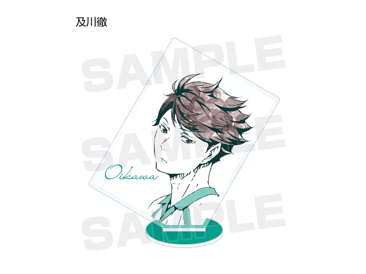 ハイキュー トレーディング Ani Art アクリルスタンド Ver B 1 Box 13pcs By アルマビアンカ ホビーリンク ジャパン ハイキュー トレーディング Ani Art アクリルスタンド Ver B 1 Box 13pcs By アルマビアンカ ホビーリンク ジャパン