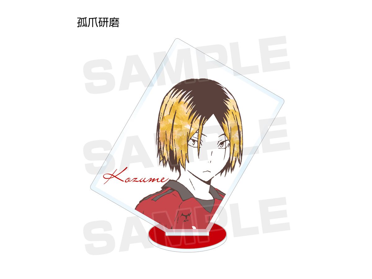ハイキュー トレーディング Ani Art アクリルスタンド Ver B 1 Box 13pcs By アルマビアンカ ホビーリンク ジャパン ハイキュー トレーディング Ani Art アクリルスタンド Ver B 1 Box 13pcs By アルマビアンカ ホビーリンク ジャパン