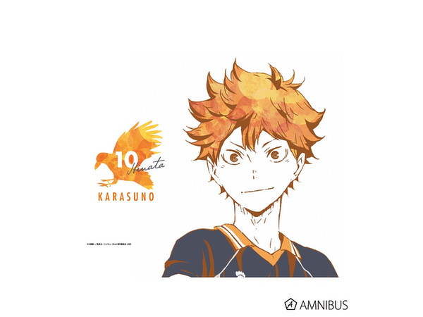ハイキュー 日向翔陽 影山飛雄 aniart タペストリー ハイキュー!! 日向翔陽 Ani-Art タペストリー | HLJ.co.jp