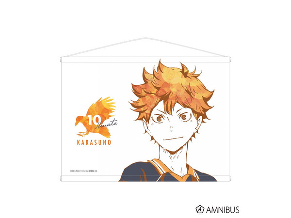 ハイキュー 日向翔陽 影山飛雄 aniart タペストリー Amazon.co.jp: タペストリー 日向翔陽 影山飛雄 ハイキュー