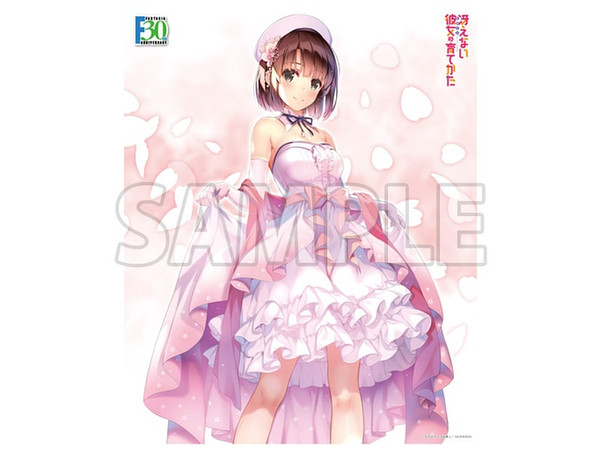 1 7 冴えない彼女の育て方 Fine 加藤恵 Memorial Ver 1 7 冴えない彼女の育て方 Fine 加藤恵 Memorial Ver