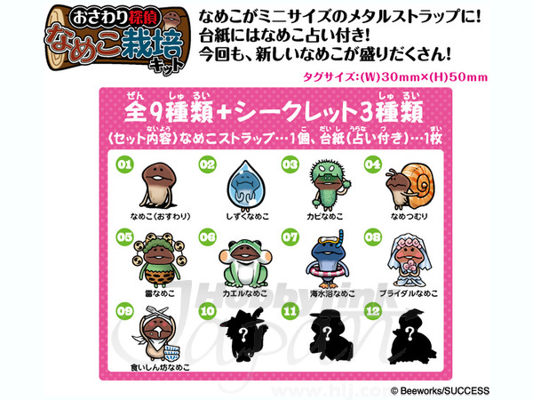 なめこ栽培キット 吸盤付マスコット なめきゅう 3 (12個セット
