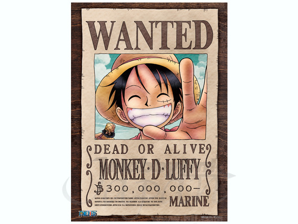 ワンピース ルフィ 懸賞金300,000,000ベリー