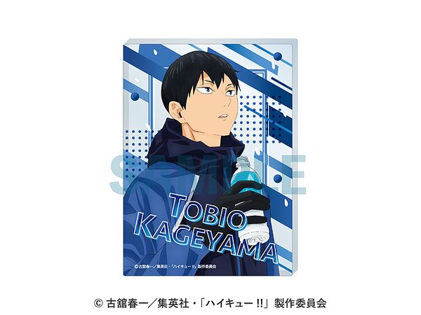 アニメ ハイキュー!!: アクリルブロック 2.影山飛雄 | HLJ.co.jp