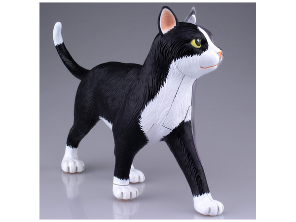 4d Vision 動物解剖 猫 黒 白 解剖モデル By 青島文化教材 ホビーリンク ジャパン 4d Vision 動物解剖 猫 黒 白 解剖モデル By 青島文化教材 ホビーリンク ジャパン
