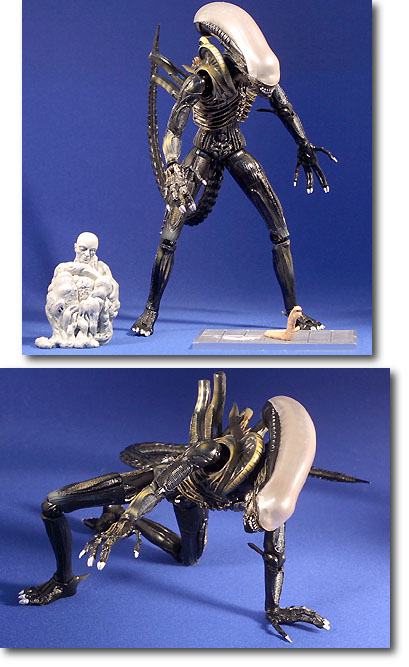 1/12 エイリアン チェストバスター | HLJ.co.jp