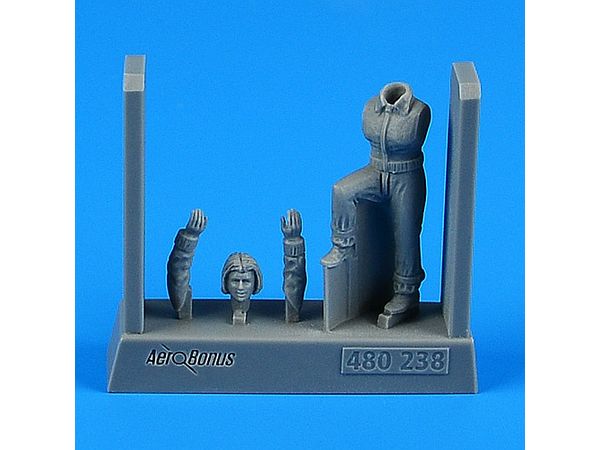 1/48 ロシア人女性アクロバットパイロット | HLJ.co.jp