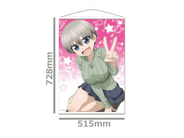 宇崎ちゃんは遊びたい! B2タペストリー A [宇崎ちゃん] | HLJ.co.jp