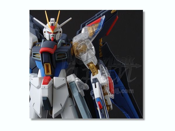1/100 MG ストライクフリーダムガンダム (プラスクリア外装