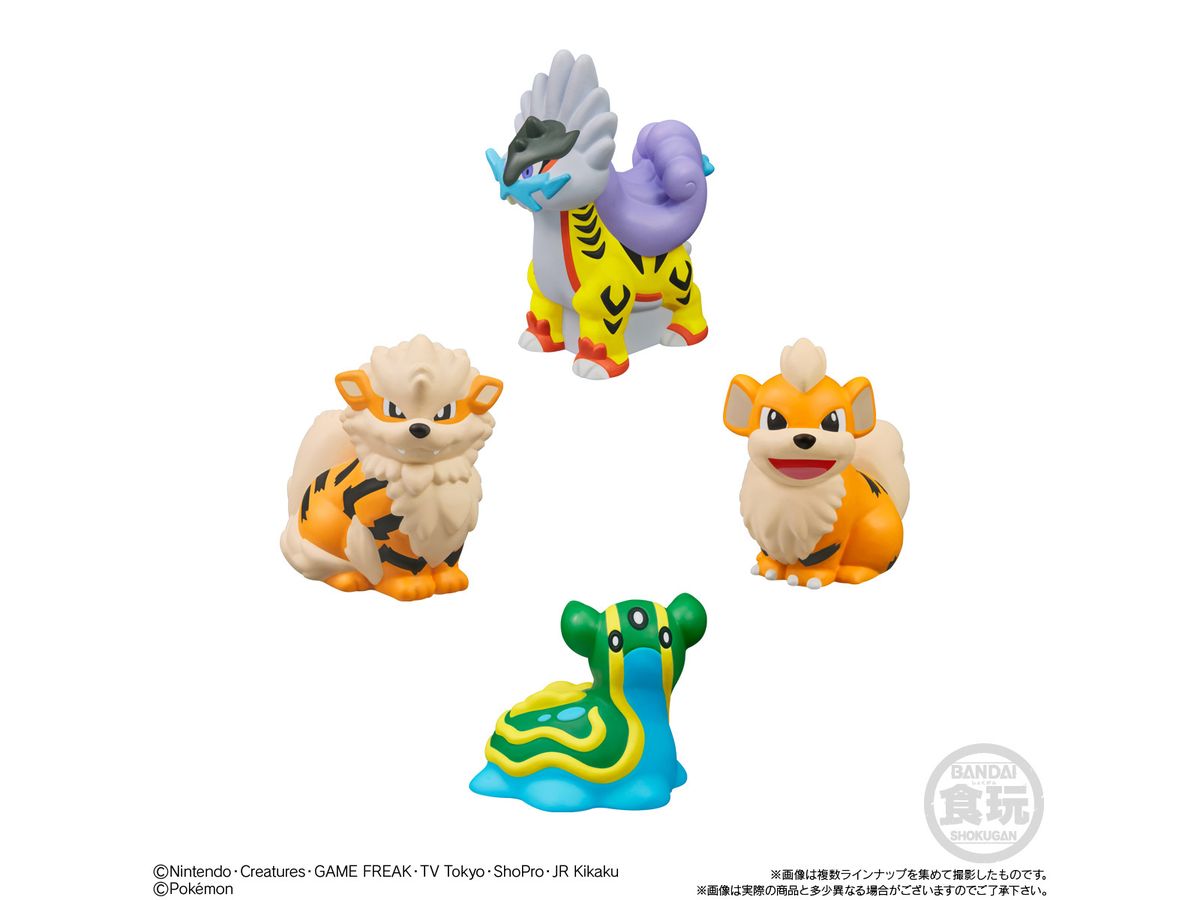 当選　希少品　ポケモンキッズ　ビッグサイズ　メガミュウツーY 300個限定 ☆超希少☆ ポケモンキッズ当選品 メガミュウツーy ビッグサイズ