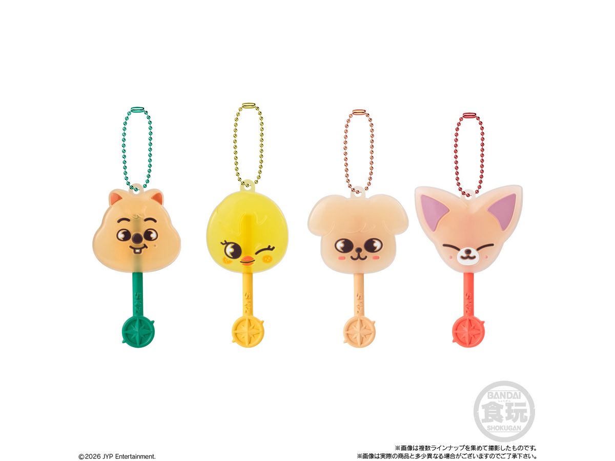 ロリポップキャンディチャーム SKZOO 1Box 10pcs | HLJ.co.jp