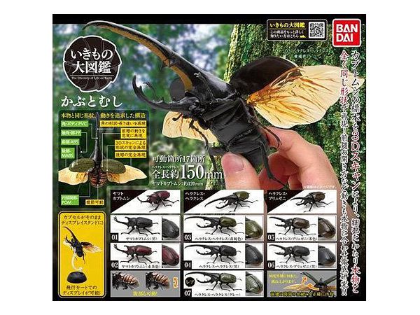 かぶとむし いきもの大図鑑 かぶとむし 1Box 4pcs | HLJ.co.jp