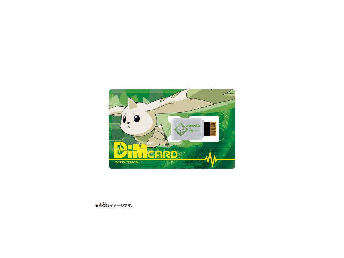 Dimカード EX2 デジモンテイマーズ テリアモン (キャラクター