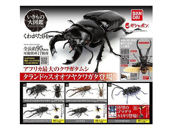 いきもの大図鑑　くわがた02 全4種① Amazon | いきもの大図鑑 くわがた02 [全4種セット(フルコンプ