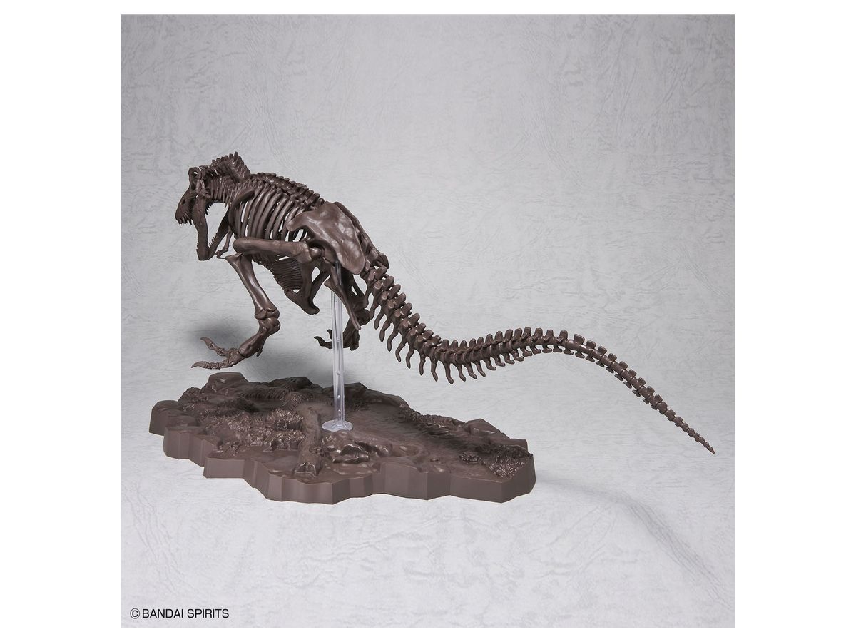 1 32 Imaginary Skeleton ティラノサウルス By バンダイ ホビーリンク ジャパン 1 32 Imaginary Skeleton ティラノサウルス By バンダイ ホビーリンク ジャパン
