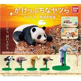 吉野家 ミニチュアコレクション Box版 1 Box 12pcs By ケンエレファント ホビーリンク ジャパン 吉野家 ミニチュアコレクション Box版 1 Box 12pcs By ケンエレファント ホビーリンク ジャパン