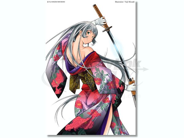 1/6 趙雲子龍 コミック14巻イラスト Ver. PVC | HLJ.co.jp