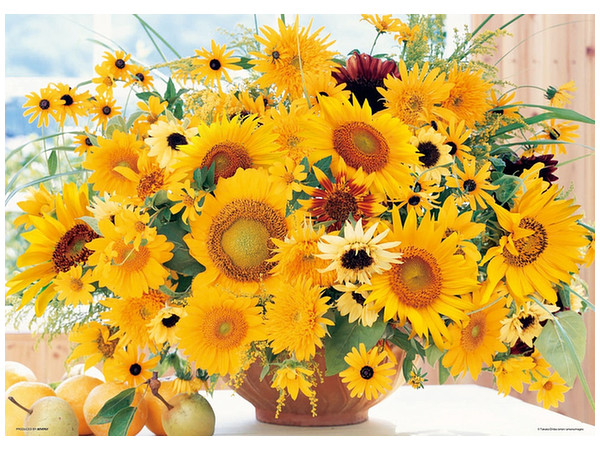 ジグソーパズル 気持ちが元気になる パワフルフラワー 600ピース 53cm X 38cm ジグソーパズル 気持ちが元気になる パワフルフラワー 600ピース 53cm X 38cm