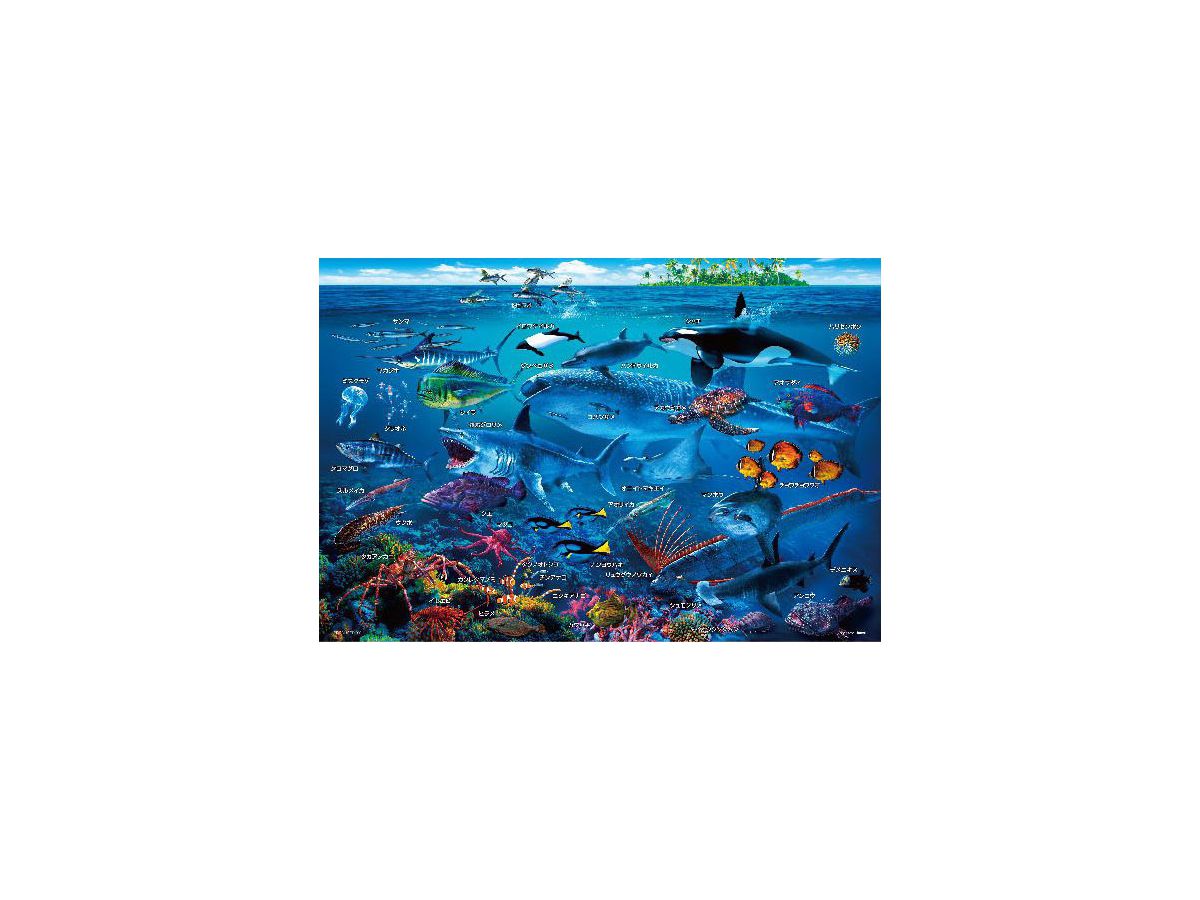シャチと海の生物のジグソーパズル ジグゾーパズル: 海の生物おぼえちゃおう! 100P (38 x 26cm) | HLJ.co.jp