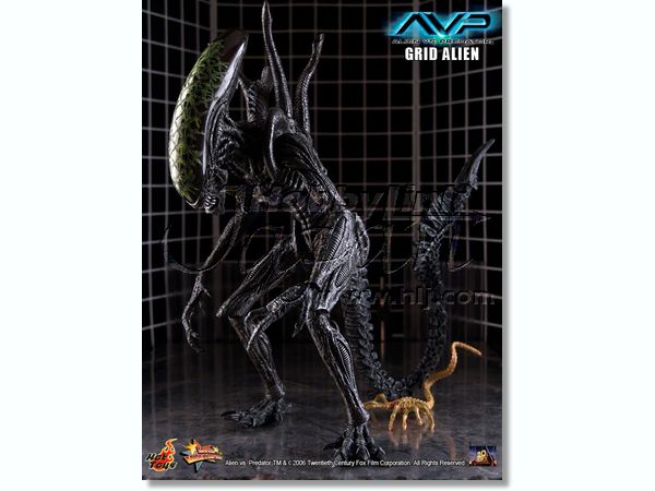 1/6 AVP グリッド・エイリアン | HLJ.co.jp