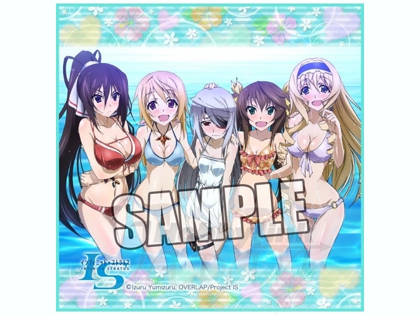 IS インフィニット・ストラトス 2 マイクロファイバーミニタオル | HLJ