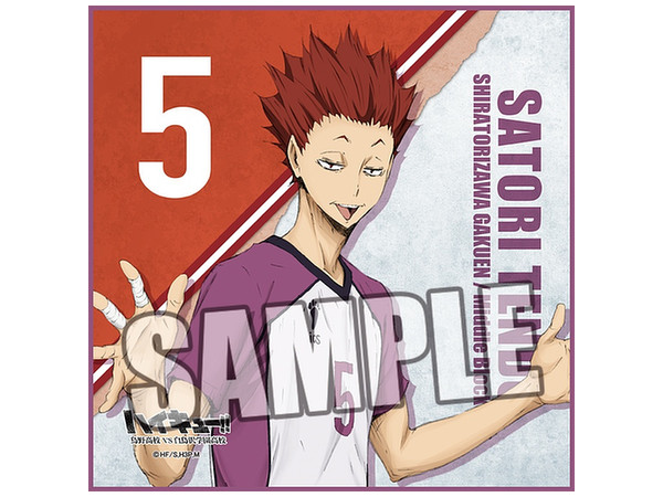 ハイキュー 烏野高校 Vs 白鳥沢学園高校 マイクロファイバーミニタオル 天童覚