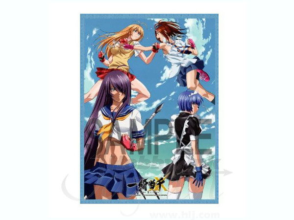 一騎当千XX タペストリー: 集合 | HLJ.co.jp