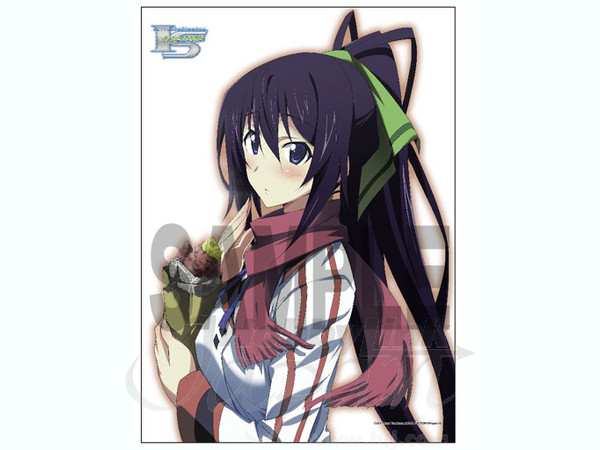 インフィニット・ストラトス タペストリー: 篠ノ之箒 | HLJ.co.jp