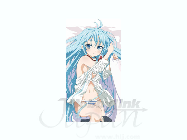 電波女と青春男 抱き枕カバー (藤和エリオ) | HLJ.co.jp