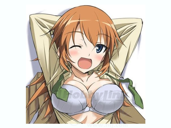 ストライクウィッチーズ シャーロット E イェーガー 抱き枕カバー 新素材 Ver By キャラアニ ホビーリンク ジャパン ストライクウィッチーズ シャーロット E イェーガー 抱き枕カバー 新素材 Ver By キャラアニ ホビーリンク ジャパン