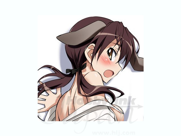 ストライクウィッチーズ ゲルトルート バルクホルン 抱き枕カバー 新素材 Ver By キャラアニ ホビーリンク ジャパン