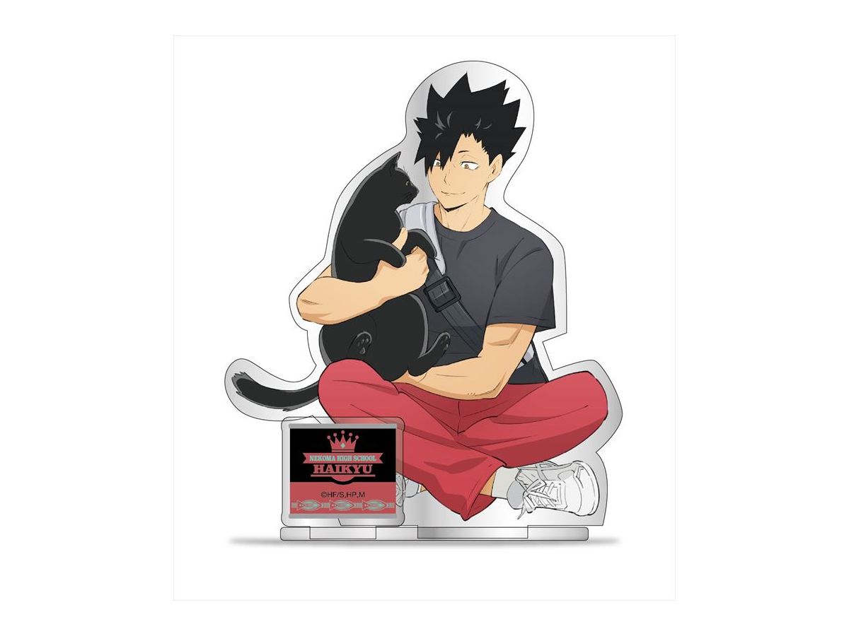 一番くじ　ハイキュー!!　B賞黒尾鉄朗　E賞 Amazon.co.jp: 一番くじ ハイキュー 新・ゴミ捨て場の決戦 ! E賞