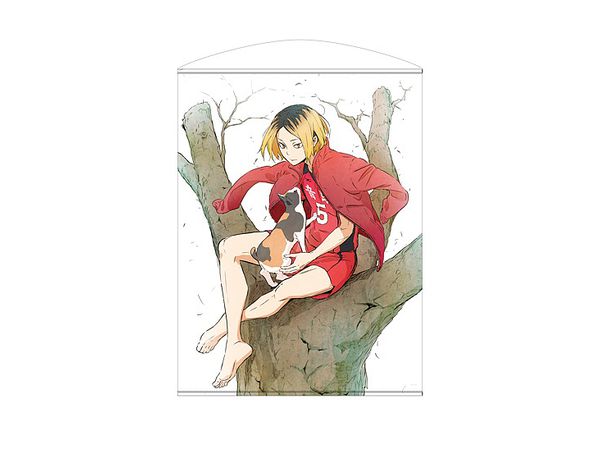 ハイキュー!! 孤爪研磨 タペストリー 音駒 2m ハイキュー!! 孤爪研磨 タペストリー 音駒 2m