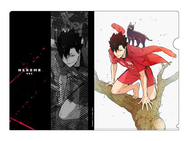 ハイキュー 黒尾鉄朗 クリアファイル Ver 2 0 ハイキュー 黒尾鉄朗 クリアファイル Ver 2 0