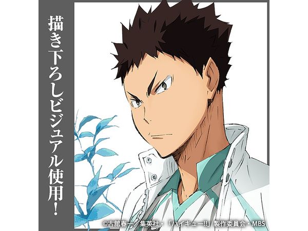 ハイキュー!!: 岩泉一 アクリルスタンド (大) Ver.1.0 | HLJ.co.jp