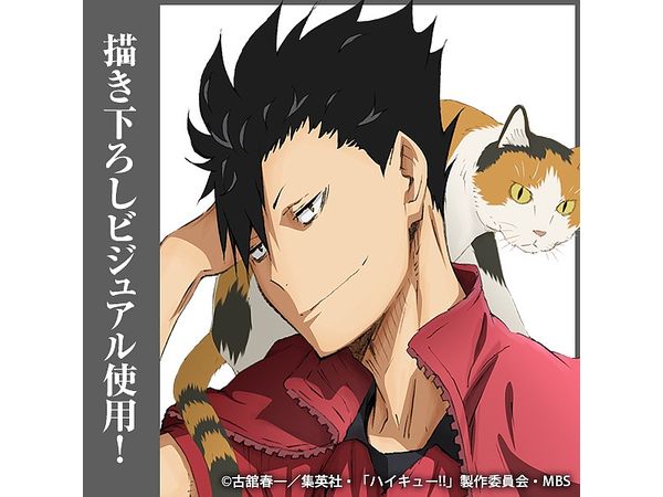 ハイキュー!!: 黒尾鉄朗 アクリルスタンド (大) Ver.1.0 | HLJ.co.jp