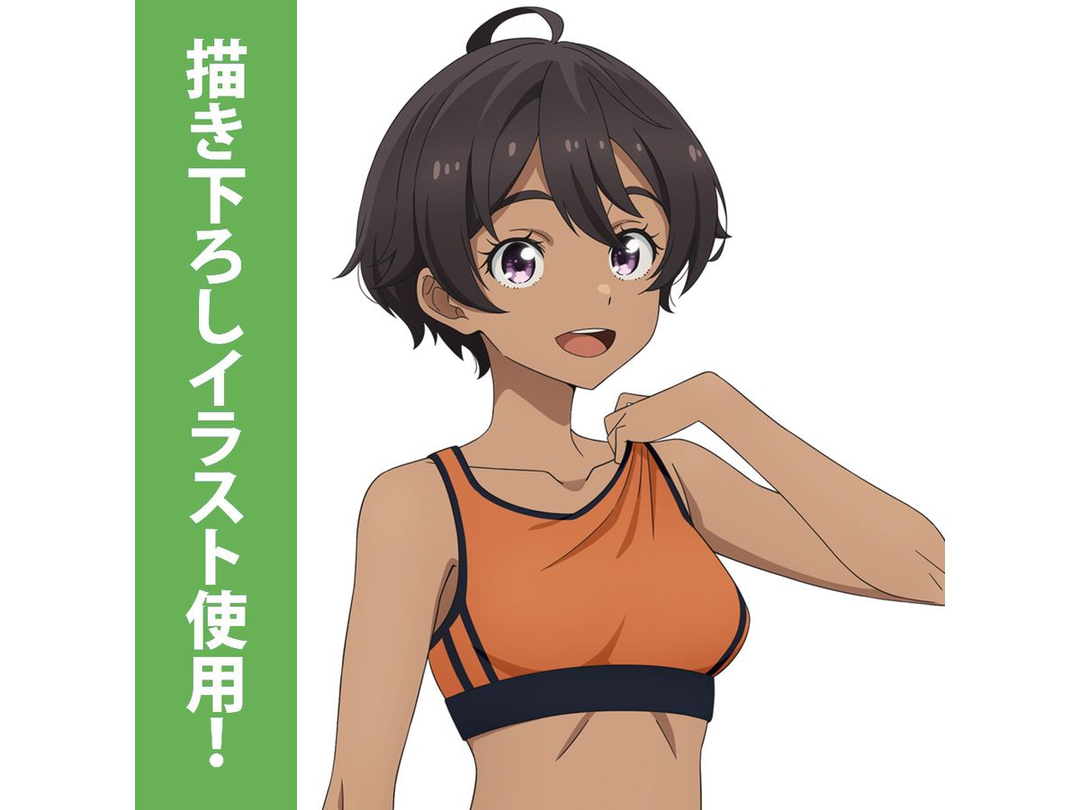 負けヒロインが多すぎる!: 描き下ろし 焼塩檸檬 アクリル 負けヒロインが多すぎる!: 描き下ろし 焼塩檸檬 アクリル