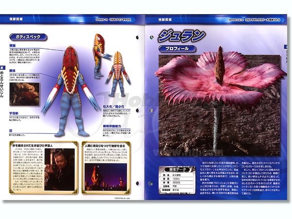 ウルトラマン　official data file セット Yahoo!オークション -「ウルトラマン データファイル」の落札